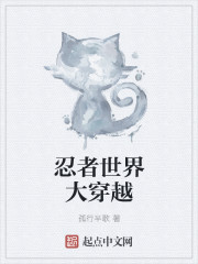 忍者世界大穿越