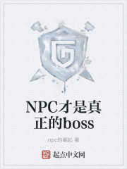 NPC才是真正的boss